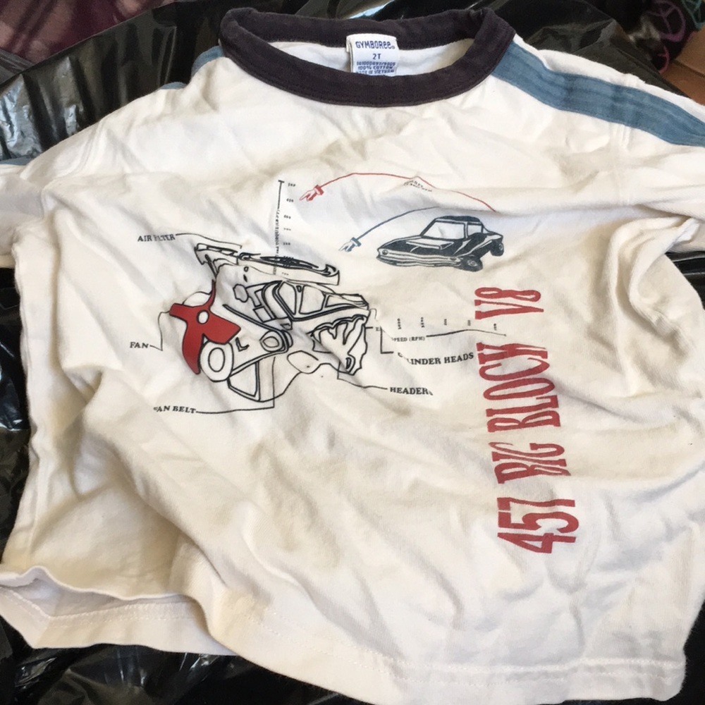 Little boys long sleeved Gymboree tee 2t